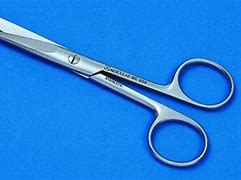 Image result for Black Lab Scissors