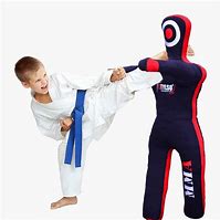 Image result for Wrestling Dummy