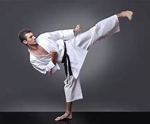 Image result for Karate Black Kick
