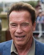 Image result for iPhone 11 Pro Arnold Swarzinigher