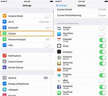 Image result for Data Usage iPhone Settings