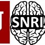 Image result for Riken Center for Brain Science Logo