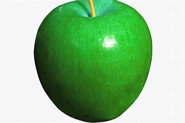 Image result for Apple Drawing