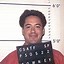 Image result for Actor Robert Downey Jr