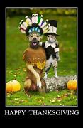 Image result for Thanksgiving Pumpkin Pie Funny Memes