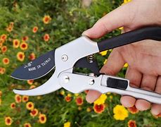 Image result for Fine Pruning Shears