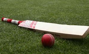 Image result for Indian Cricket Bat and Ball