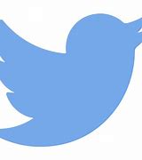 Image result for Twitter Profile Vector