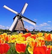Image result for Traditional Dutch Windmill
