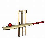 Image result for Cricket iPhone SE