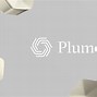 Image result for Plume Extender