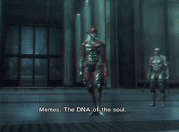 Image result for Memes DNA of the Soul