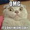 Image result for Jokes About Wednesday