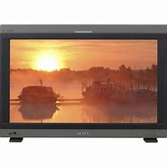 Image result for Sony Broadcast Monitor