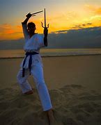 Image result for Martial Arts Kobudo