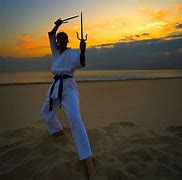 Image result for Types of Karate Weapons