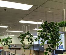 Image result for Cubicle Plant Hanger