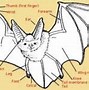 Image result for Painting of Bat Wings