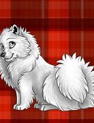Image result for Burberry Plaid Wallpaper
