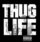 Image result for Tupac Thug Life Album