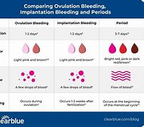 Image result for Pink Implantation Bleeding
