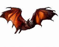 Image result for Bat Creature