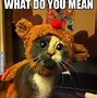 Image result for Funny Memes About Cats