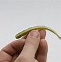 Image result for Green Weenie Lure