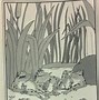 Image result for Frog Comic Strip