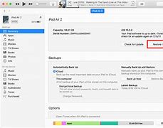 Image result for How Do You Connect a Disabled iPad to iTunes