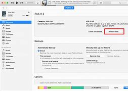 Image result for iTunes Restore iPad From Disabled