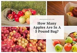 Image result for 5 pound bags of small apple