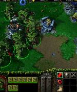 Image result for Elves and Troll Warcraft 3 TFT