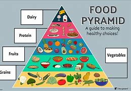 Image result for Different Types of Food Groups