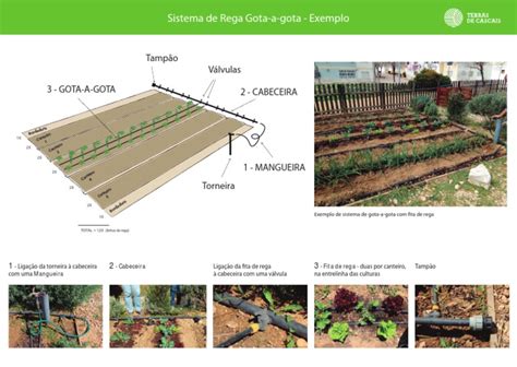 Image result for Rapid Problem Solving Example