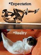 Image result for Funny After Leg Day Workouts