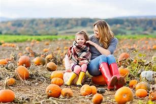 Image result for Fun Day Pumpkin Picking