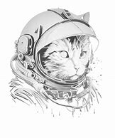 Image result for Crazy Space Cat Meme