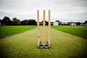 Image result for Wood Removed Cricket Bat