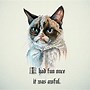 Image result for Grumpy Looking Cat