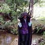 Image result for Hung Gar Stances