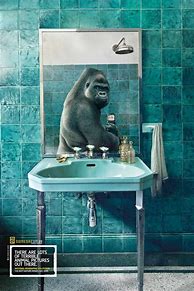Image result for Funny Advertisement. Print Ads