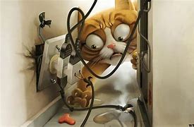 Image result for Crazy Funny Wallpapers