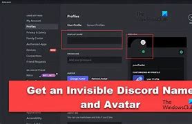 Image result for Invisible Discord Profile Pic
