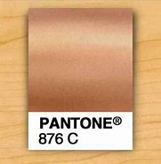 Image result for Pantone 876 C