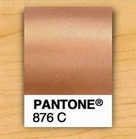 Image result for Light Rose Gold Color Pantone