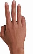 Image result for Whatever Gesture