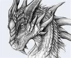 Image result for Dragon Drawings