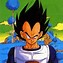 Image result for Dragon Ball Z Vegeta Family