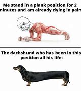 Image result for Dachshund Do Plank Meme